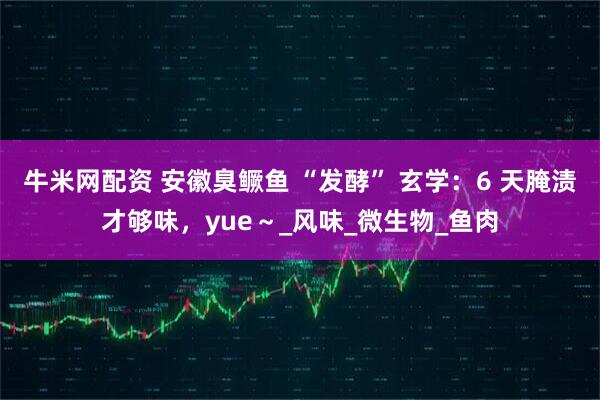 牛米网配资 安徽臭鳜鱼 “发酵” 玄学：6 天腌渍才够味，yue～_风味_微生物_鱼肉