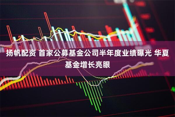 扬帆配资 首家公募基金公司半年度业绩曝光 华夏基金增长亮眼