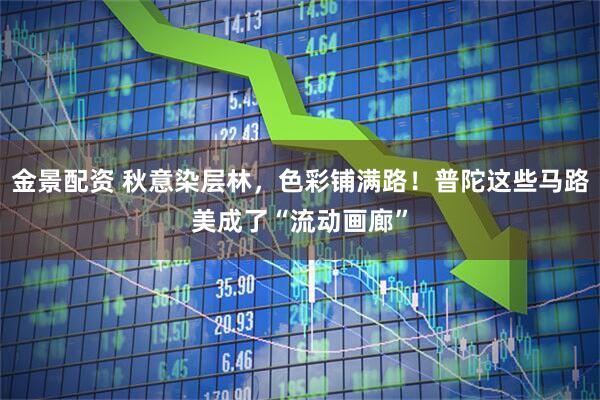 金景配资 秋意染层林,色彩铺满路!普陀这些马路美成了“流动画廊”