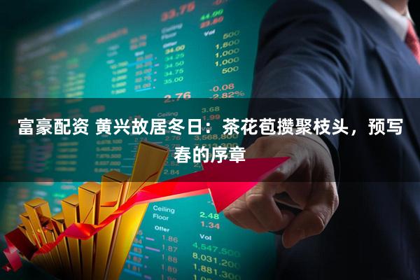 富豪配资 黄兴故居冬日：茶花苞攒聚枝头，预写春的序章